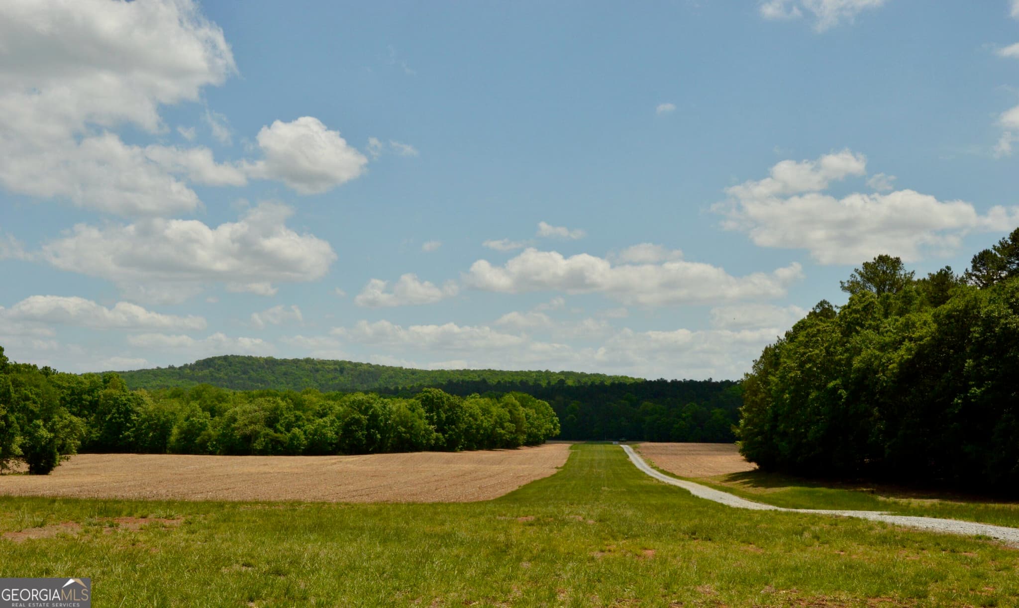 estate lot for sale at 420 Reynolds Bridge Road, Kingston, GA 30145 — photo 8