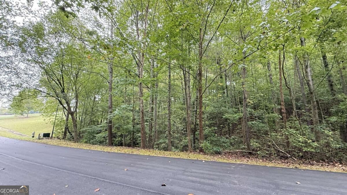 residential lot for sale at 8935 Saddle Trail, Ball Ground, GA 30107 — photo 2