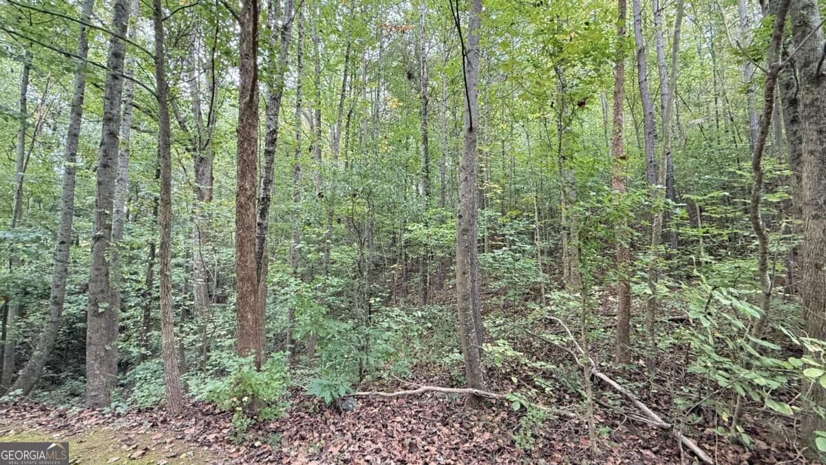 residential lot for sale at 8935 Saddle Trail, Ball Ground, GA 30107 — photo 6