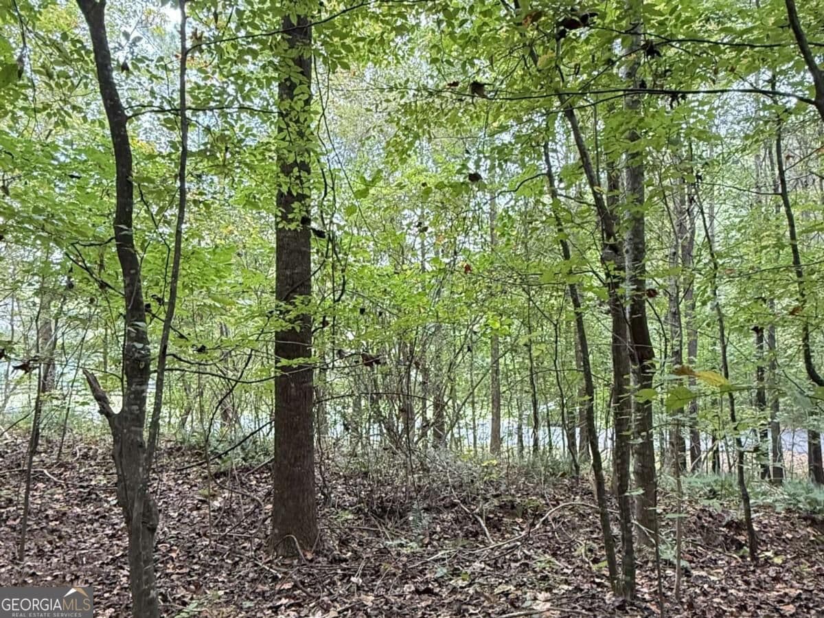 residential lot for sale at 8935 Saddle Trail, Ball Ground, GA 30107 — photo 7
