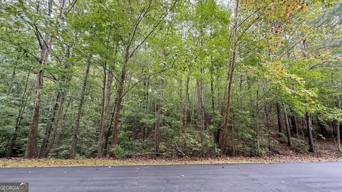 residential lot for sale at 8935 Saddle Trail, Ball Ground, GA 30107 — photo 3