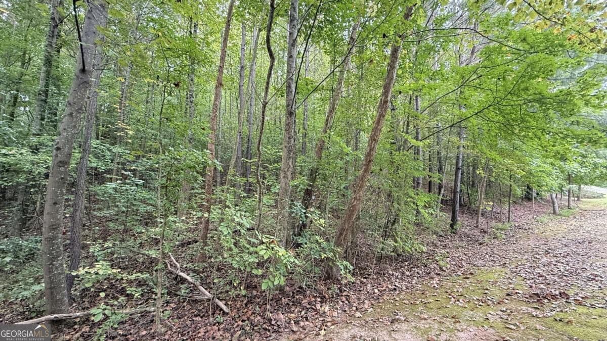 residential lot for sale at 8935 Saddle Trail, Ball Ground, GA 30107 — photo 5