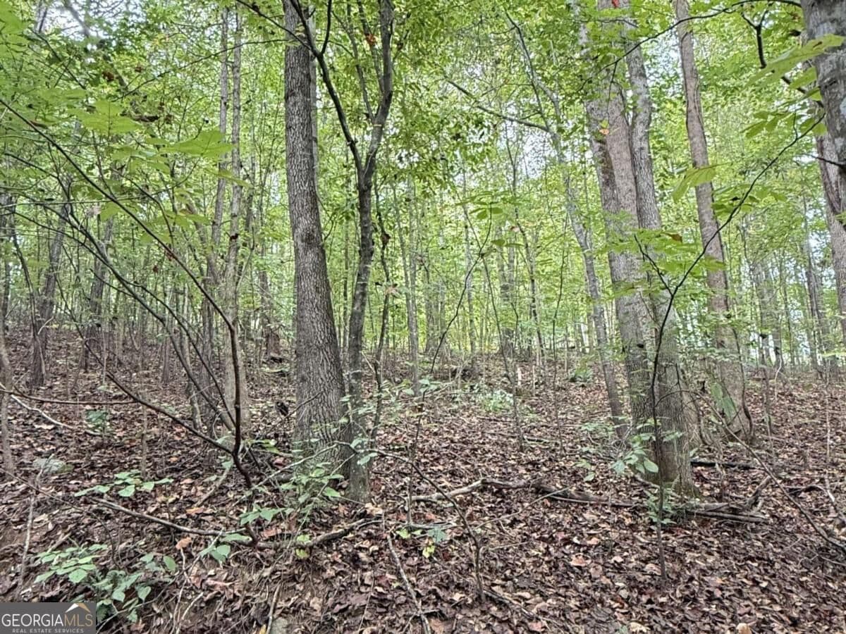 residential lot for sale at 8935 Saddle Trail, Ball Ground, GA 30107 — photo 9