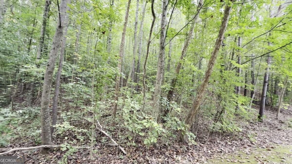 residential lot for sale at 8935 Saddle Trail, Ball Ground, GA 30107 — photo 4