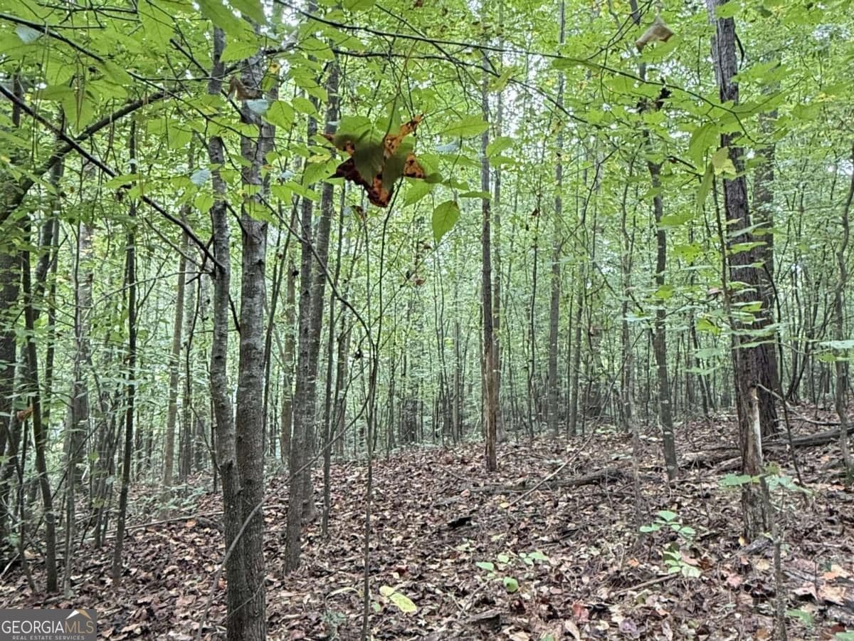 residential lot for sale at 8935 Saddle Trail, Ball Ground, GA 30107 — photo 8