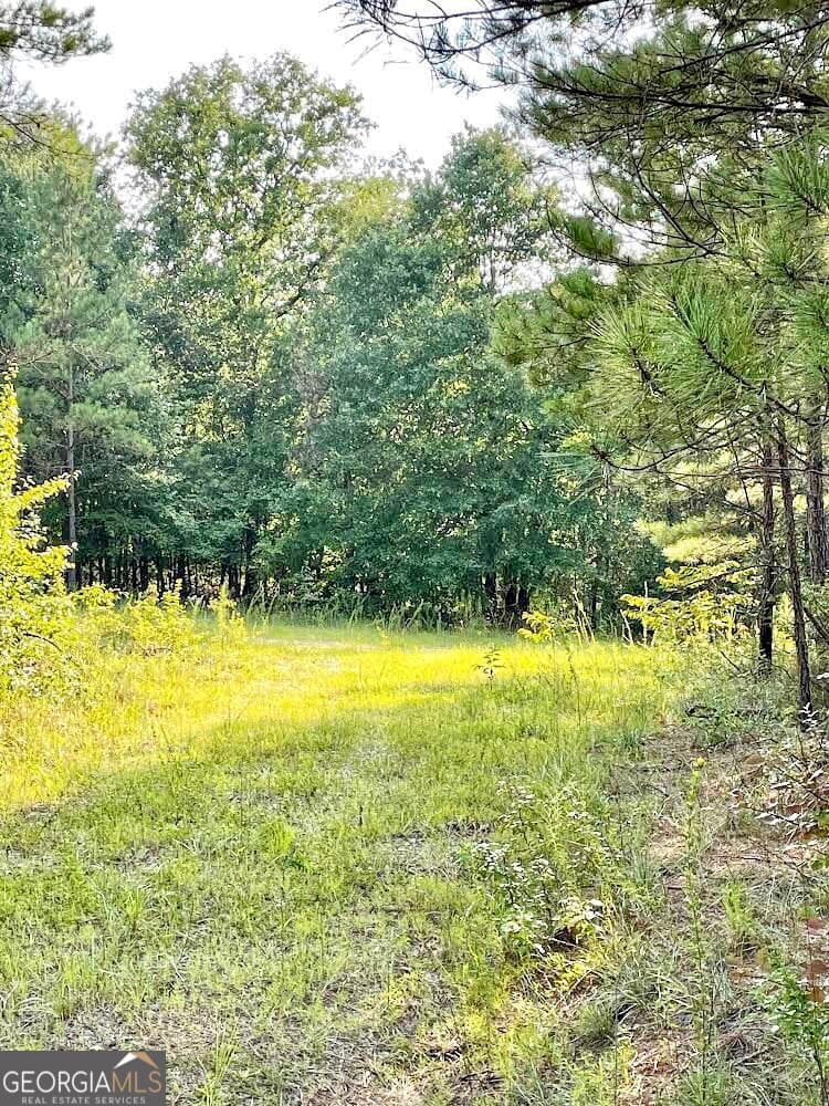 commercial for sale at 4476 Fulton Mill Road, Macon, GA 31216 — photo 2