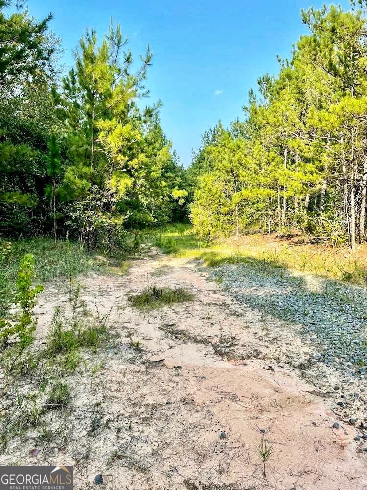commercial for sale at 4476 Fulton Mill Road, Macon, GA 31216 — photo 3