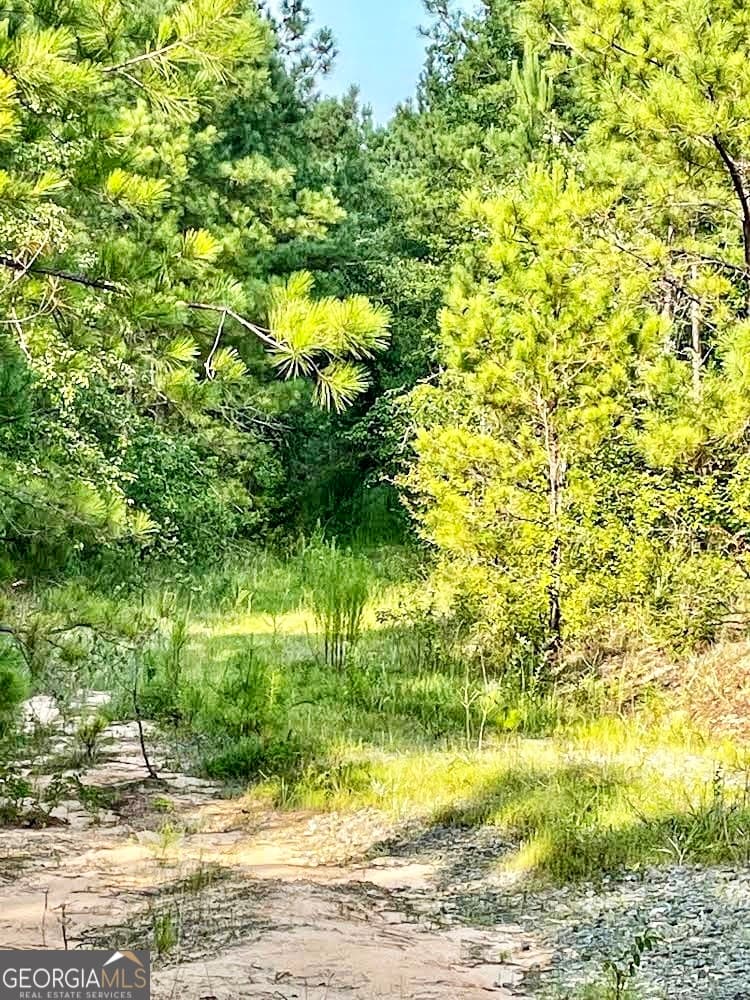 commercial for sale at 4476 Fulton Mill Road, Macon, GA 31216 — photo 4