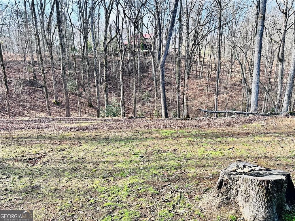 2 bedroom, 2 bathroom, 950 sq ft single family residence for sale at 6134 Grant Ford Road, Gainesville, GA 30506 — photo 4