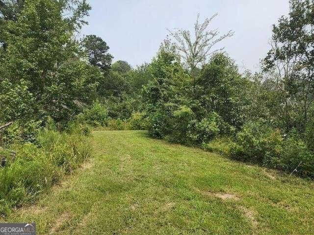 residential lot for sale at 120 Bridgemill Drive, Hampton, GA 30228 — photo 7