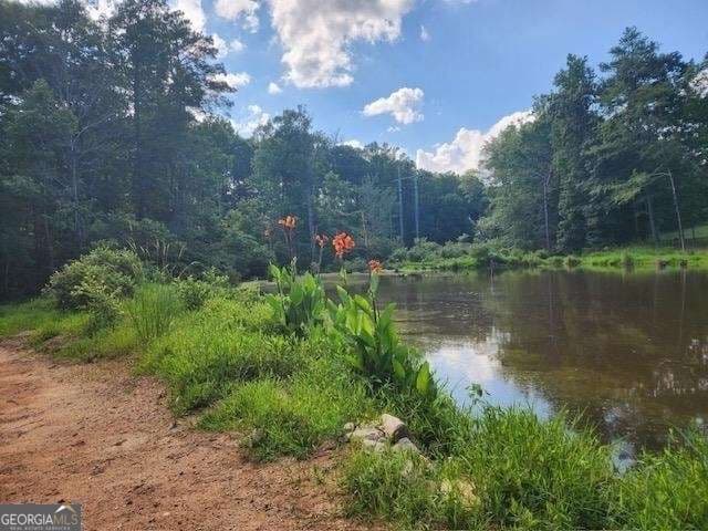 residential lot for sale at 120 Bridgemill Drive, Hampton, GA 30228 — photo 5