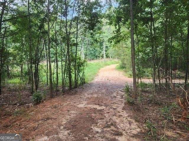 residential lot for sale at 120 Bridgemill Drive, Hampton, GA 30228 — photo 9