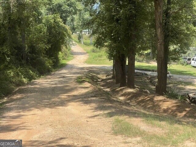 residential lot for sale at 1354 C Hephzibah McBean Road, Hephzibah, GA 30815 — photo 6
