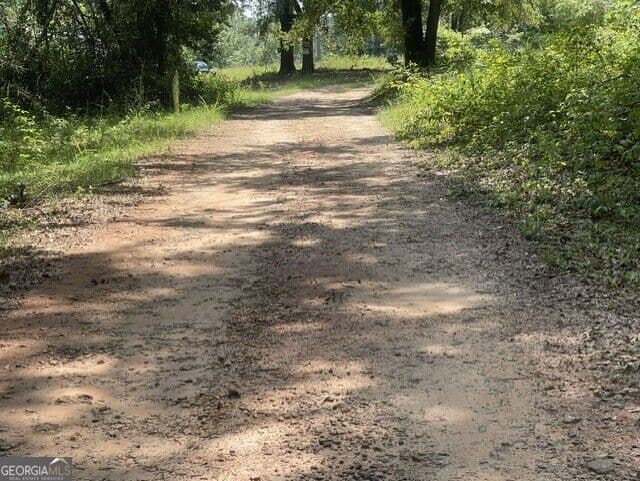 residential lot for sale at 1354 C Hephzibah McBean Road, Hephzibah, GA 30815 — photo 5