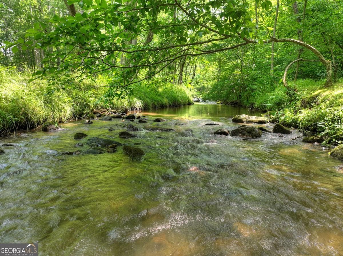 3 bedroom, 3 bathroom, 2,396 sq ft cabin,single family residence for sale at 316 Pigeon Creek Road, Blue Ridge, GA 30513 — photo 4