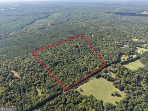 unimproved land for sale at 2 Cunningham Road, Greensboro, GA 30642 — photo 2