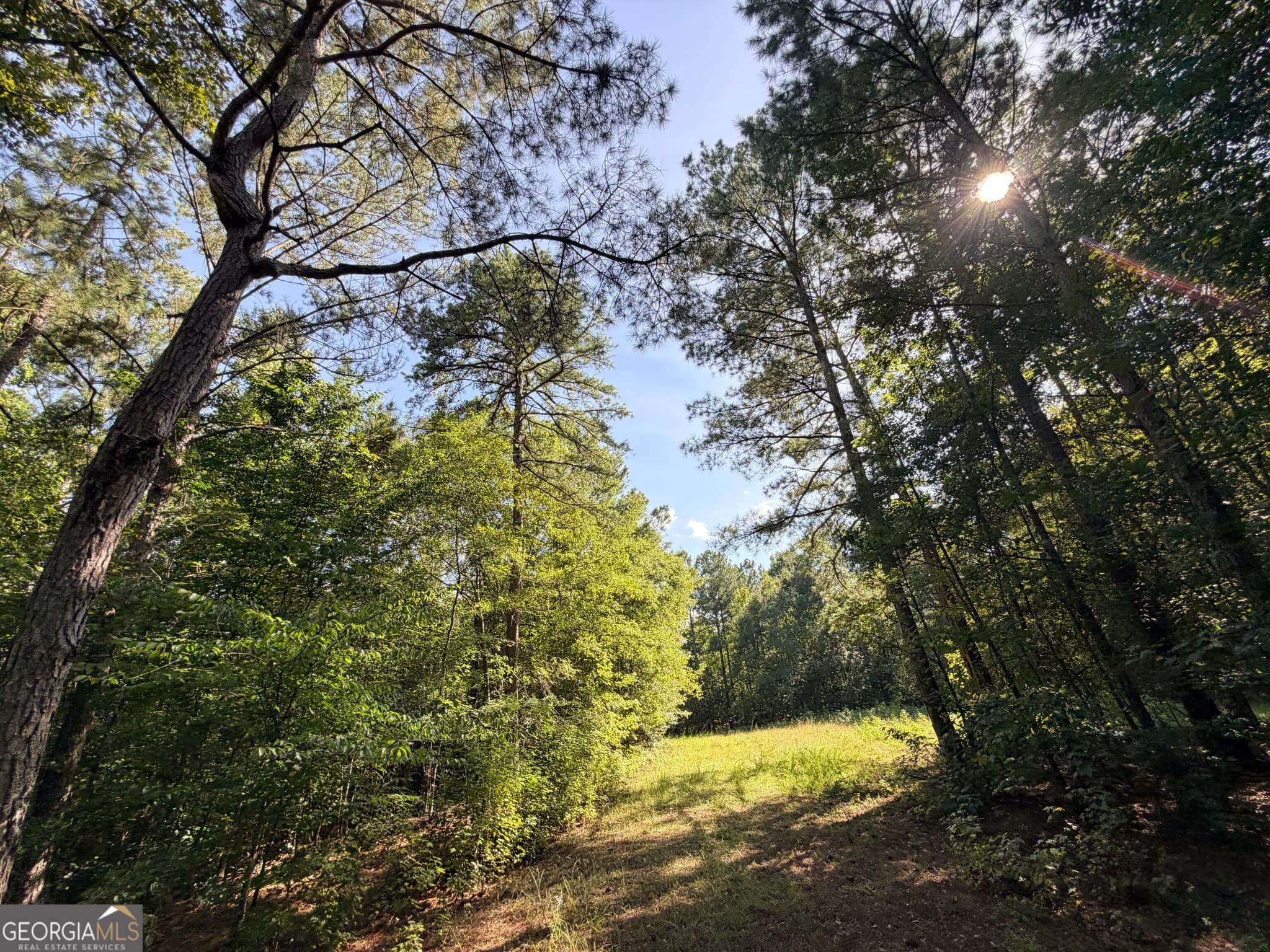unimproved land for sale at 2 Cunningham Road, Greensboro, GA 30642 — photo 3
