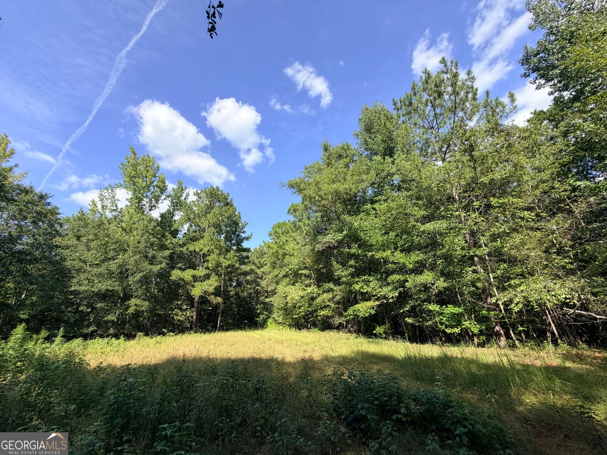 unimproved land for sale at 2 Cunningham Road, Greensboro, GA 30642 — photo 1 of 75
