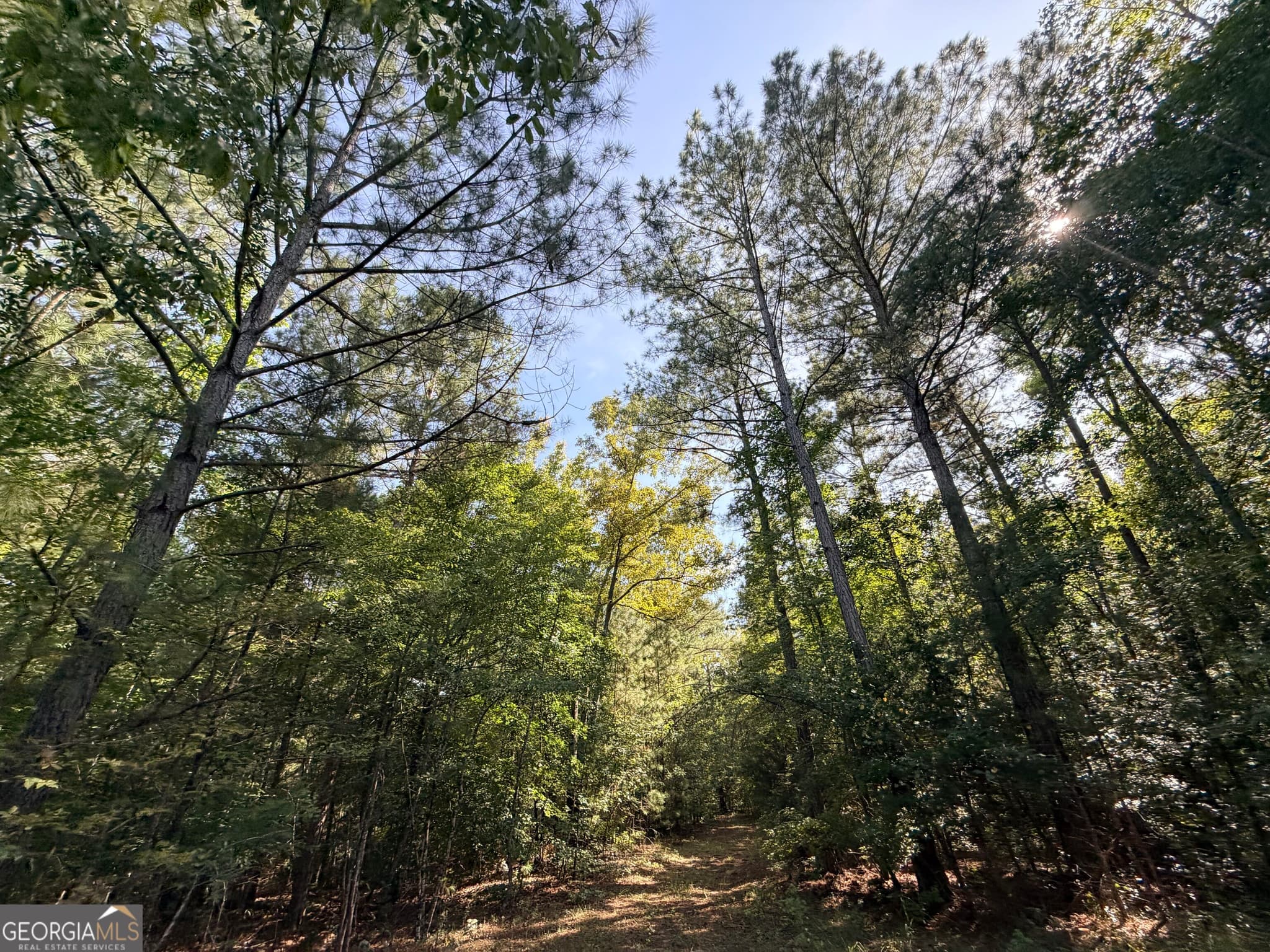 unimproved land for sale at 2 Cunningham Road, Greensboro, GA 30642 — photo 10