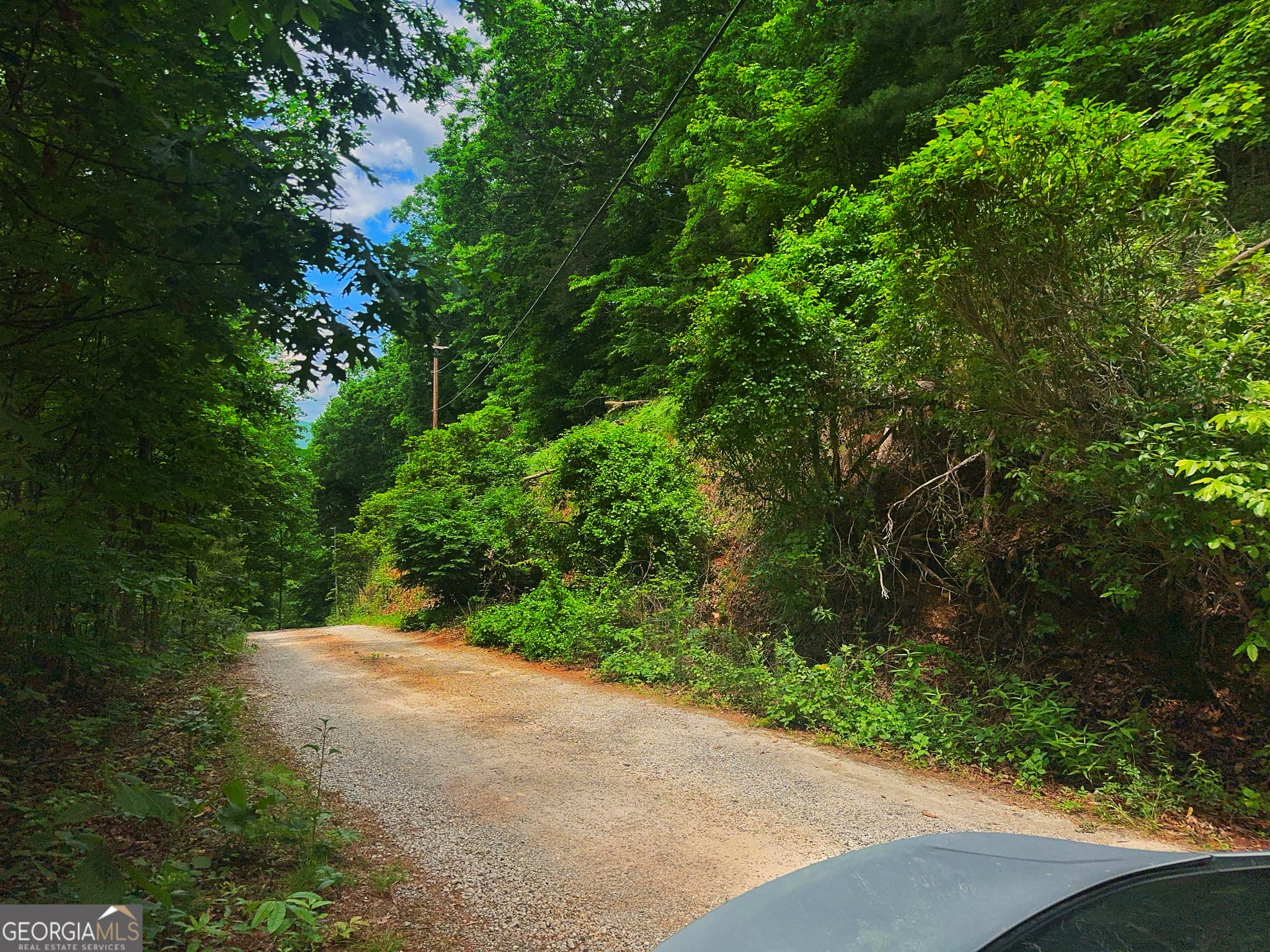 residential lot for sale at 0 Laurel Lane, Clayton, GA 30525 — photo 2