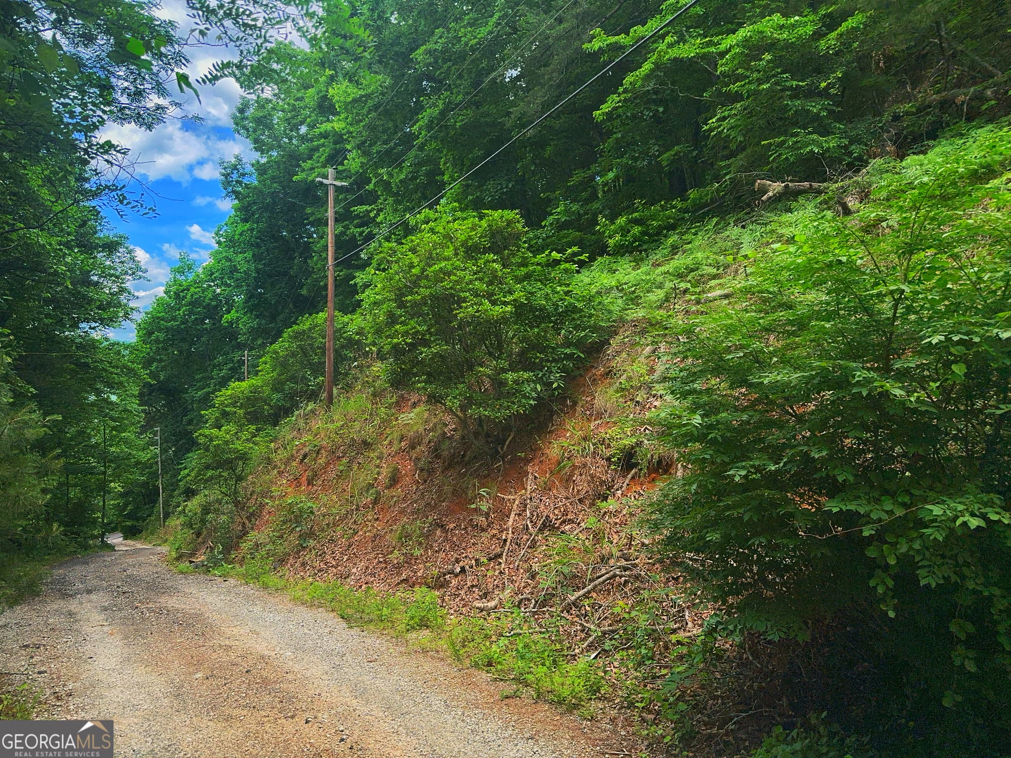 residential lot for sale at 0 Laurel Lane, Clayton, GA 30525 — photo 6