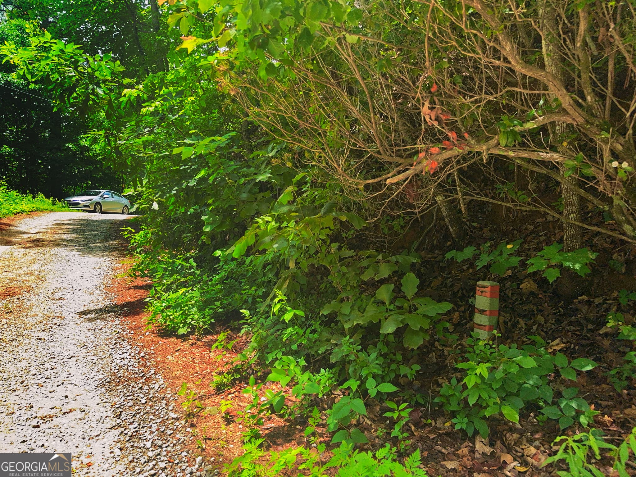 residential lot for sale at 0 Laurel Lane, Clayton, GA 30525 — photo 3