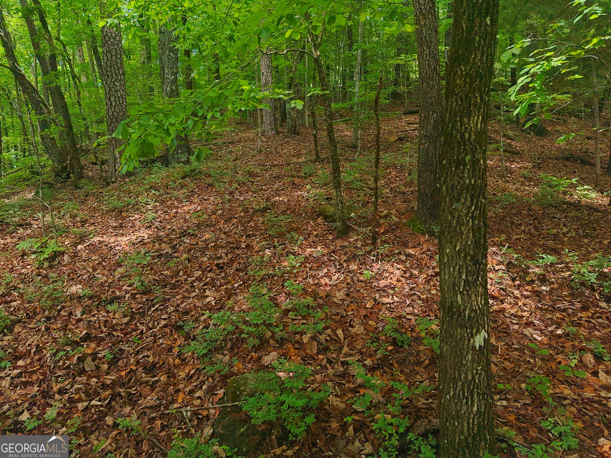residential lot for sale at 0 Laurel Lane, Clayton, GA 30525 — photo 4