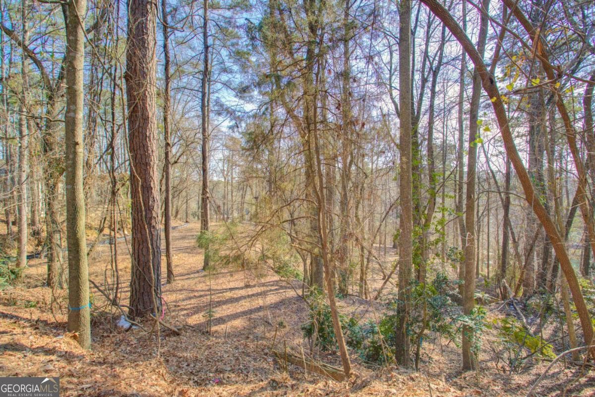residential lot for sale at 20 Pine Forest Circle, Gainesville, GA 30504 — photo 6