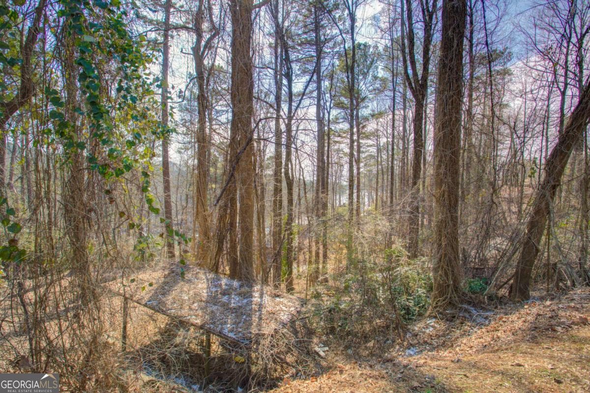residential lot for sale at 20 Pine Forest Circle, Gainesville, GA 30504 — photo 5