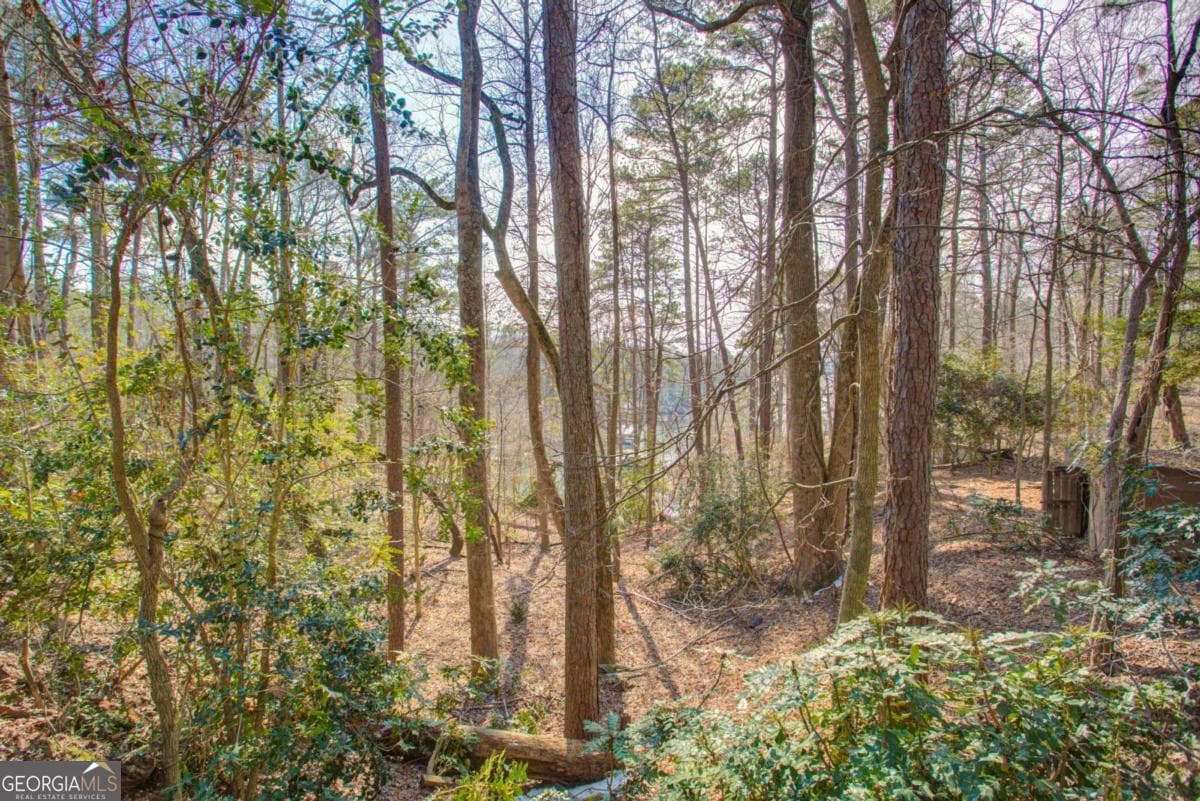 residential lot for sale at 20 Pine Forest Circle, Gainesville, GA 30504 — photo 4