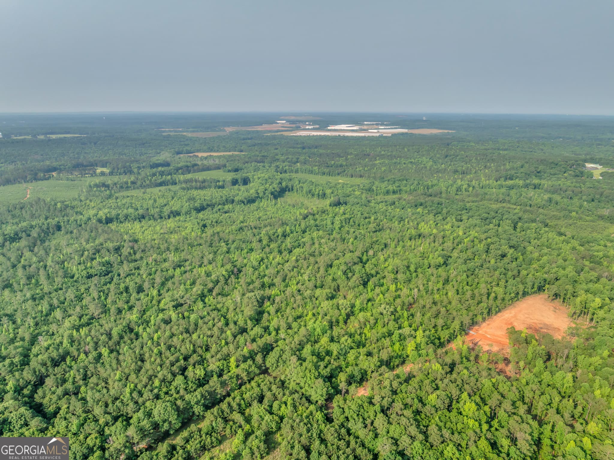 agriculture for sale at 0 County Line Road, Jenkinsburg, GA 30234 — photo 3