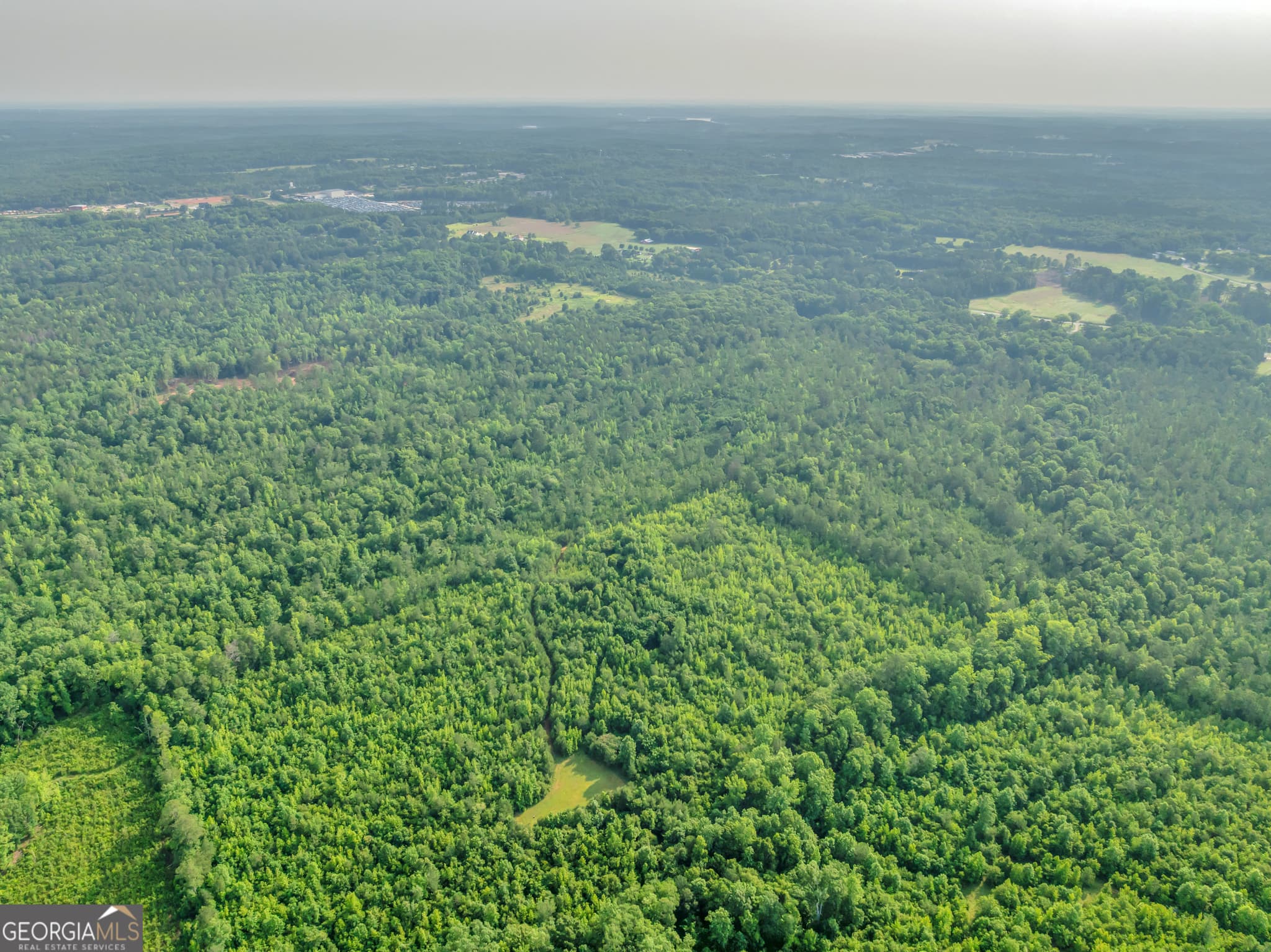 agriculture for sale at 0 County Line Road, Jenkinsburg, GA 30234 — photo 10