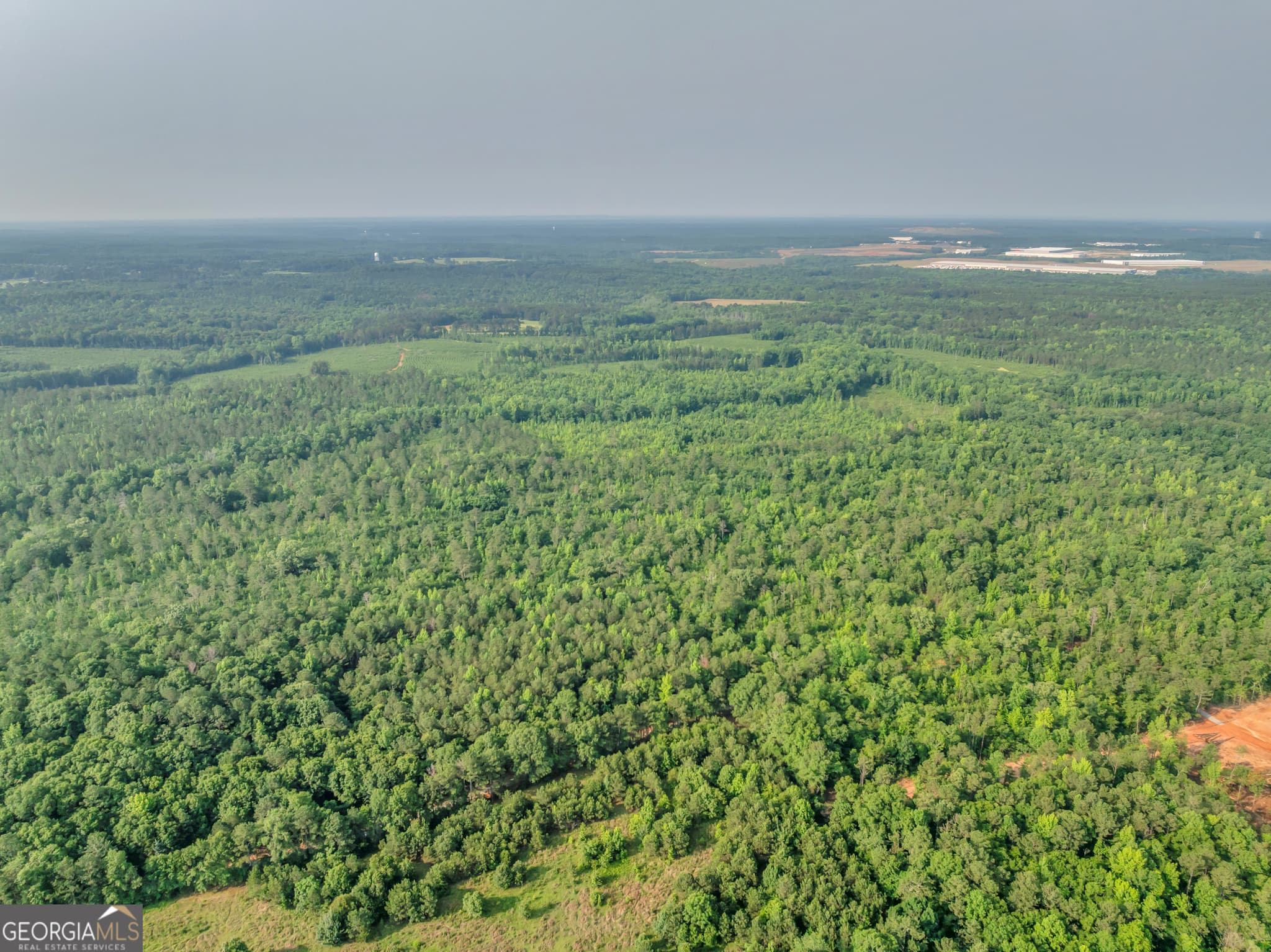 agriculture for sale at 0 County Line Road, Jenkinsburg, GA 30234 — photo 4