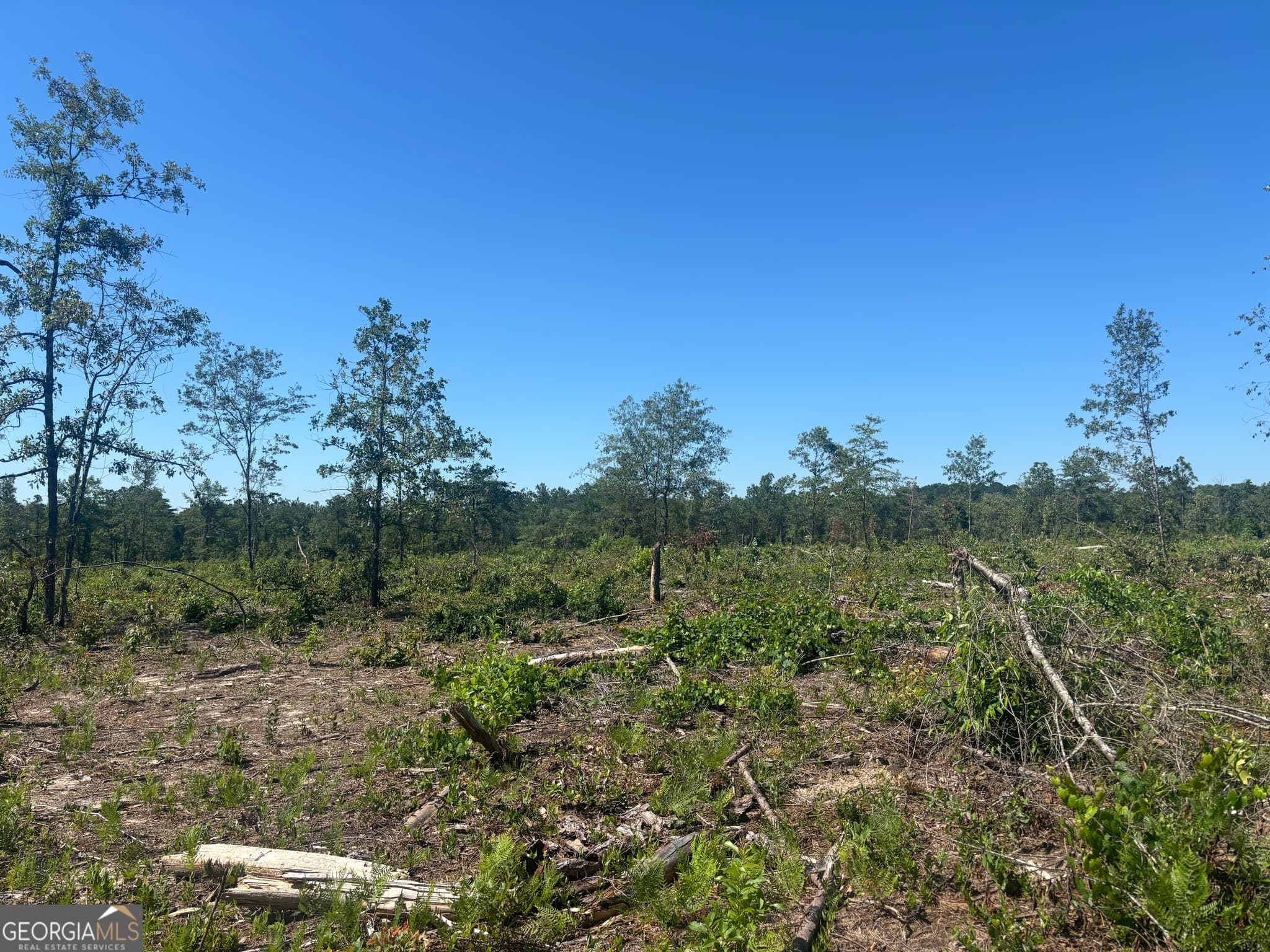 unimproved land for sale at 38 ACRES N Ga Highway 240 N CONNECTOR, Mauk, GA 31058 — photo 2