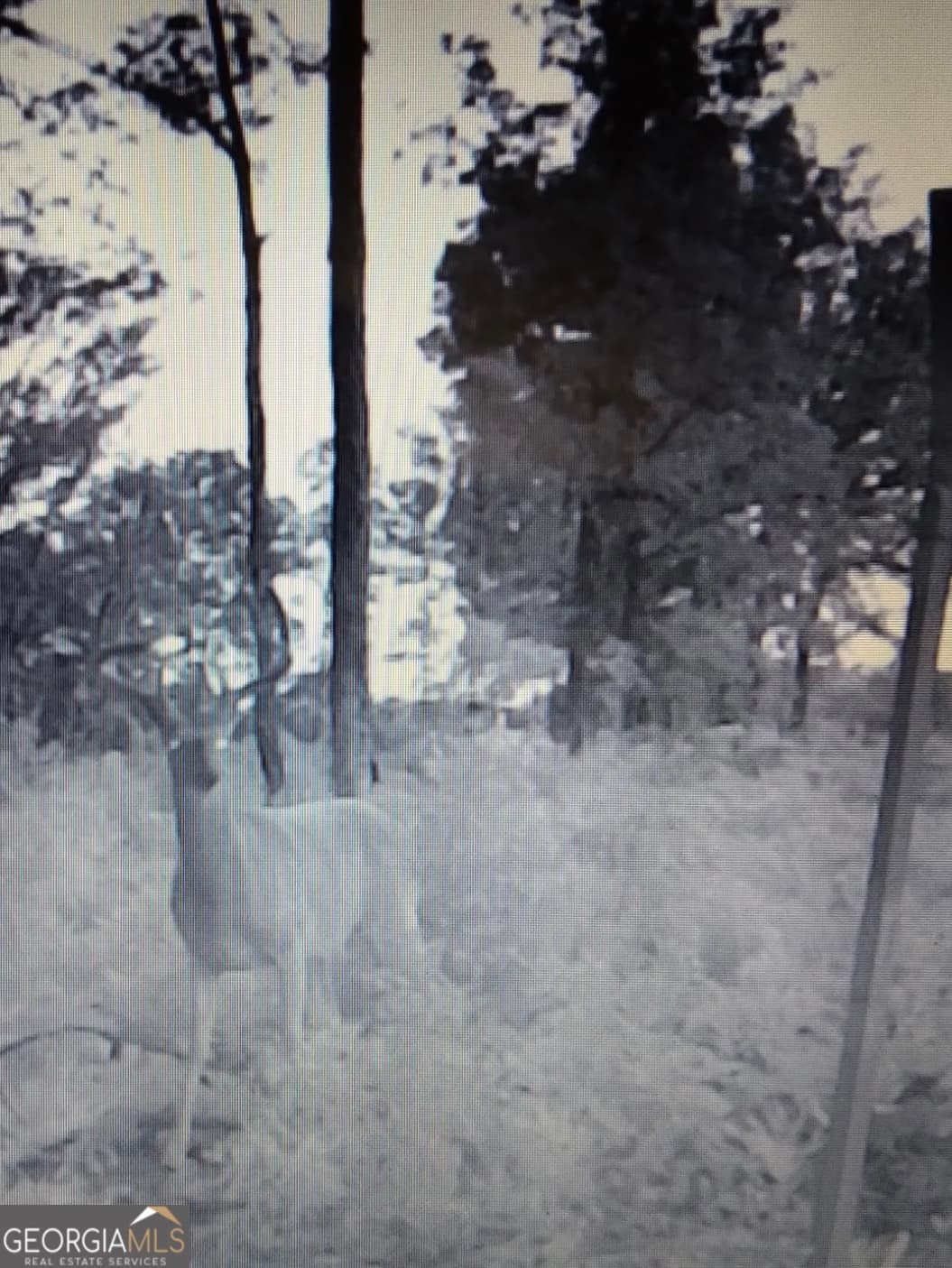 unimproved land for sale at 38 ACRES N Ga Highway 240 N CONNECTOR, Mauk, GA 31058 — photo 6