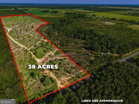 unimproved land for sale at 38 ACRES N Ga Highway 240 N CONNECTOR, Mauk, GA 31058 — photo 1 of 8