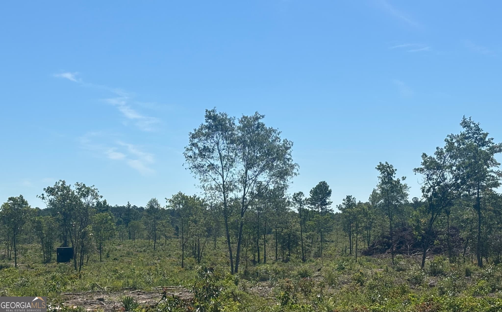 unimproved land for sale at 38 ACRES N Ga Highway 240 N CONNECTOR, Mauk, GA 31058 — photo 5