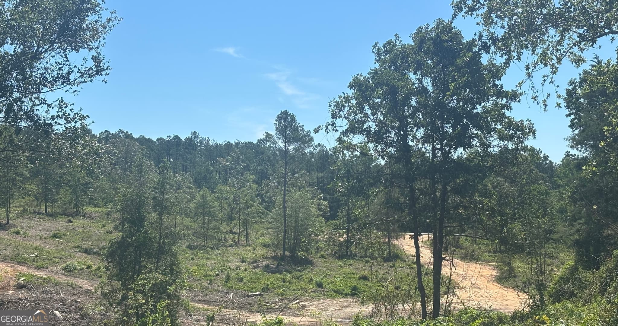 unimproved land for sale at 38 ACRES N Ga Highway 240 N CONNECTOR, Mauk, GA 31058 — photo 4