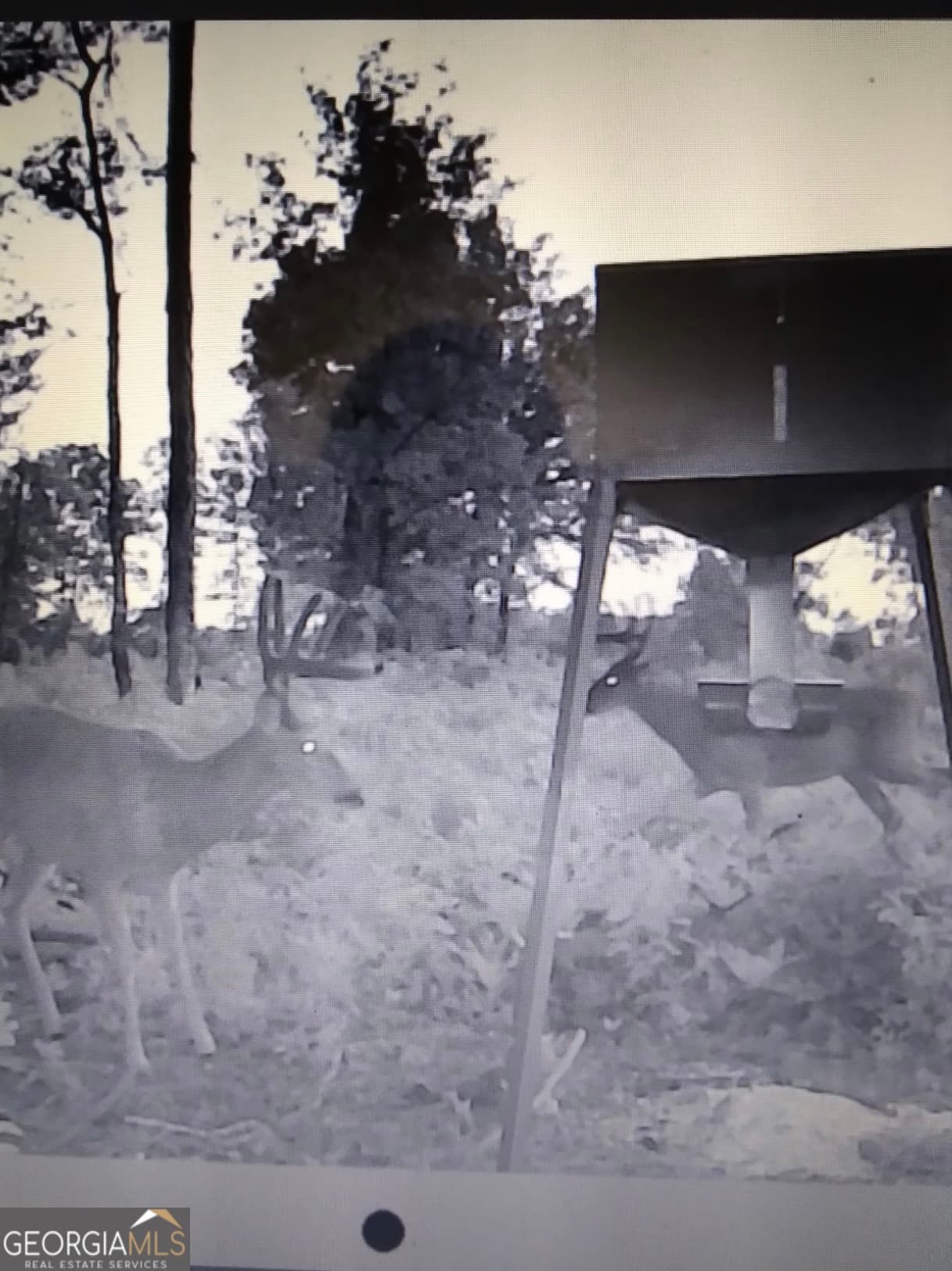 unimproved land for sale at 38 ACRES N Ga Highway 240 N CONNECTOR, Mauk, GA 31058 — photo 8
