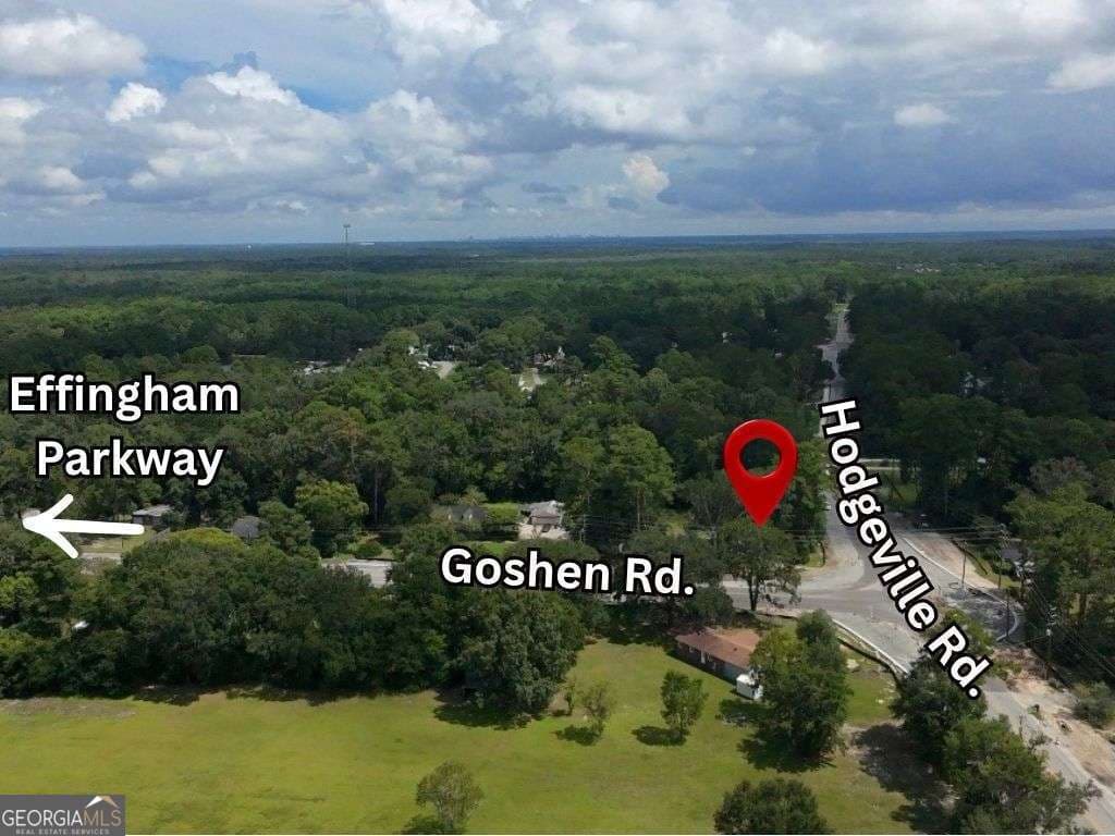 residential lot for sale at 1623 Hodgeville Road, Rincon, GA 31326 — photo 4