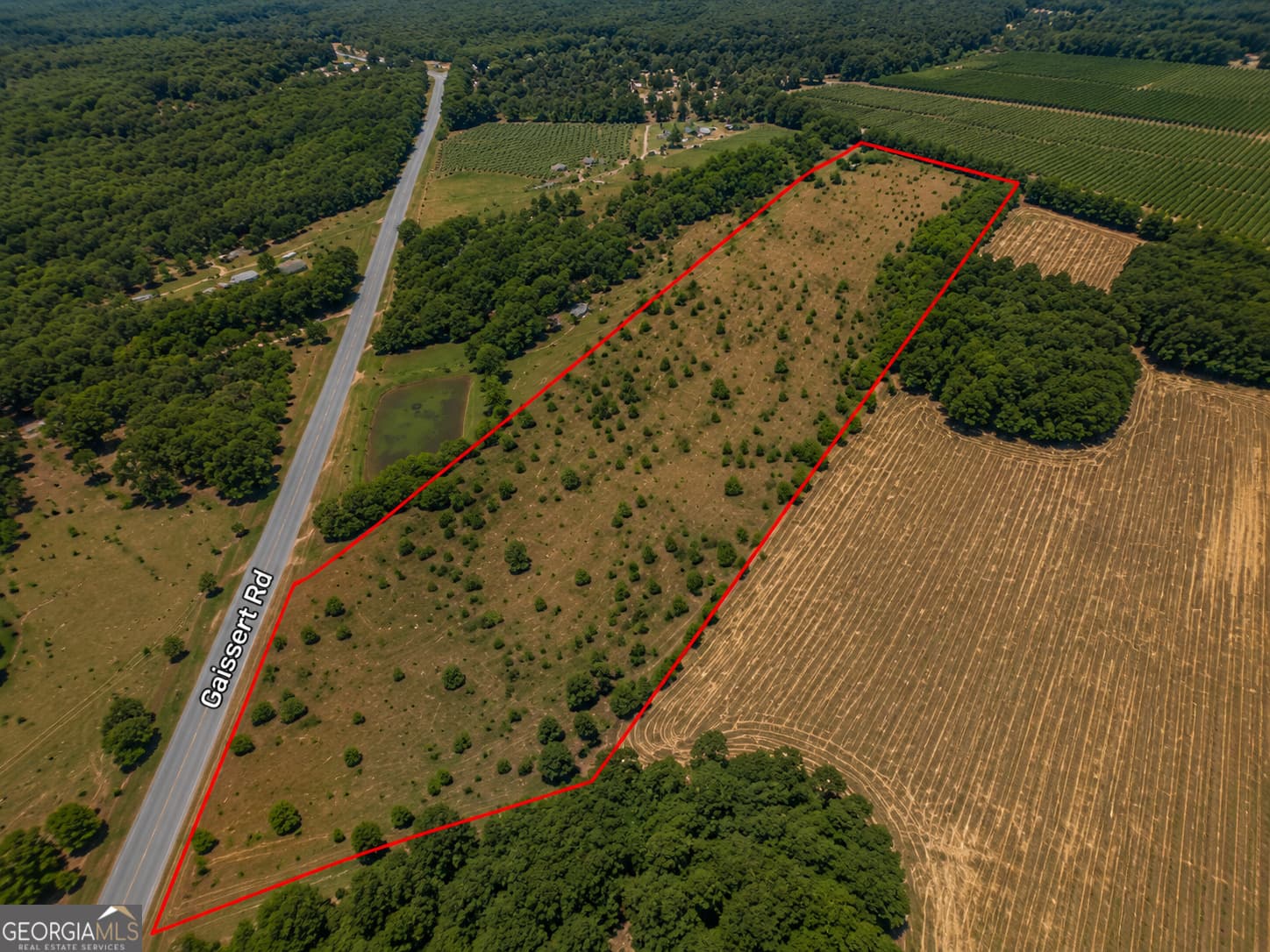 residential lot for sale at 25.69 ACRES Gaissert Road, Albany, GA 31705 — photo 6