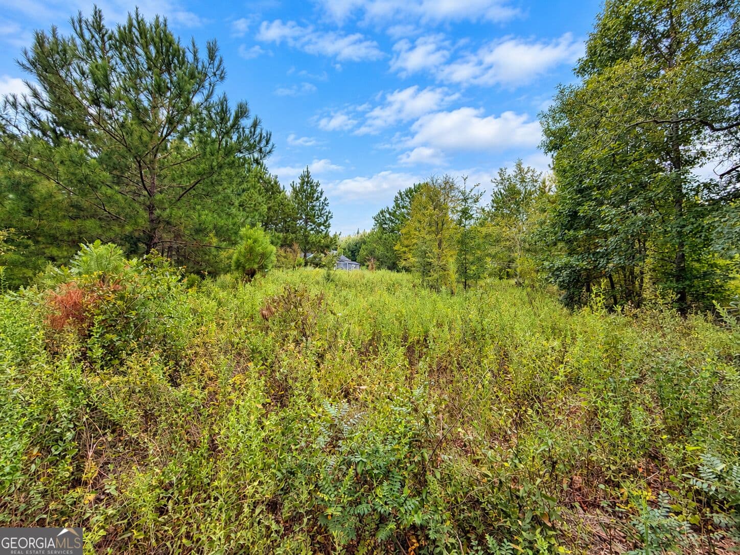 residential lot for sale at 25.69 ACRES Gaissert Road, Albany, GA 31705 — photo 7
