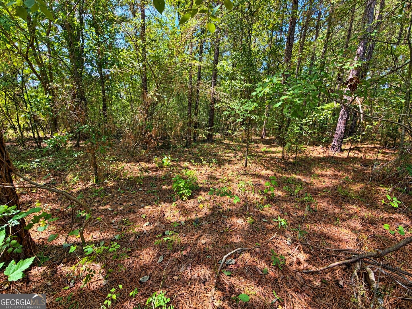residential lot for sale at 25.69 ACRES Gaissert Road, Albany, GA 31705 — photo 10
