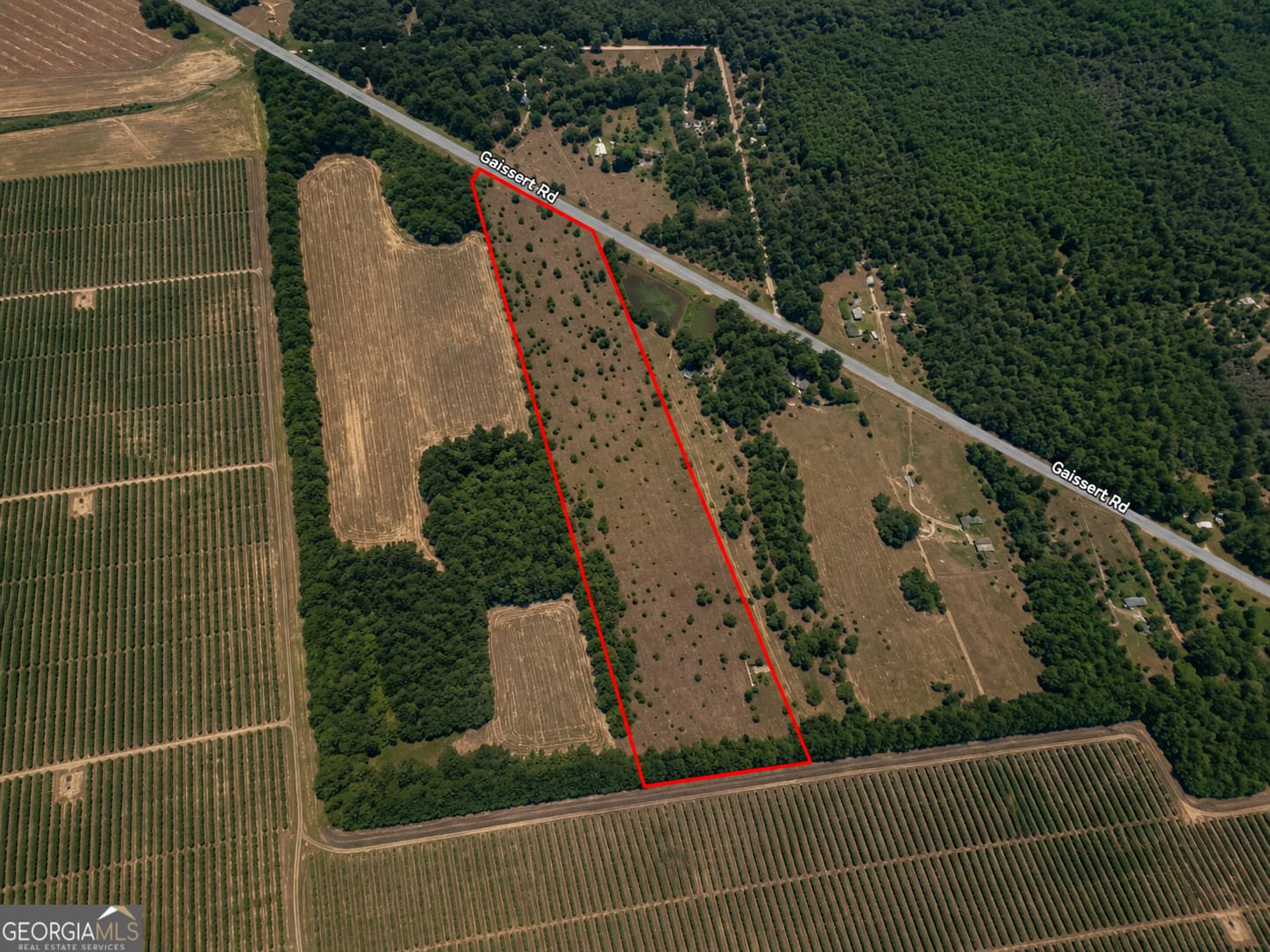 residential lot for sale at 25.69 ACRES Gaissert Road, Albany, GA 31705 — photo 4