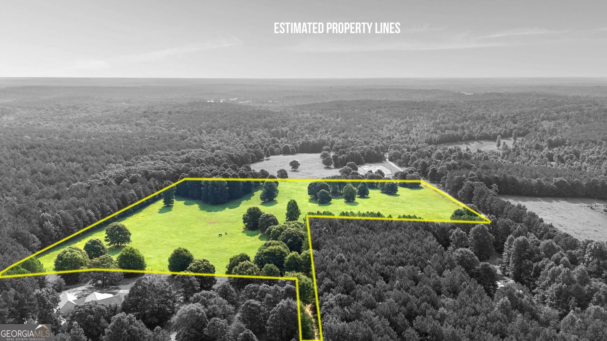 agriculture for sale at 0 Torbet Road, Forsyth, GA 31029 — photo 2
