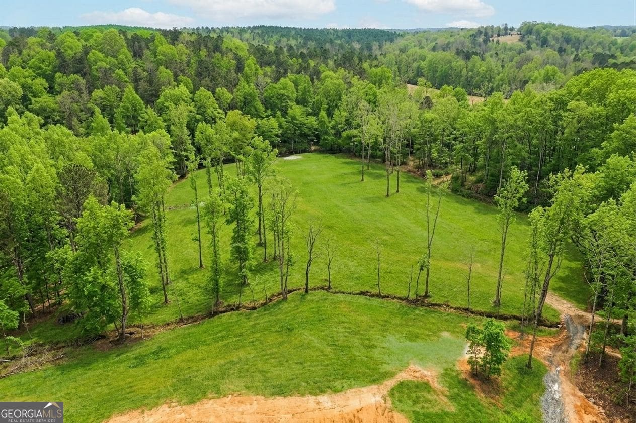 8 bedroom, 7 bathroom, 8,717 sq ft farm for sale at 1100 Soap Creek Road, Ball Ground, GA 30107 — photo 9