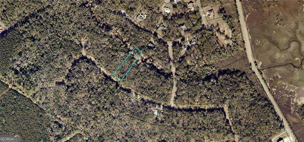 residential lot for sale at 68 Tar Flower Trail, Waverly, GA 31565 — photo 1 of 1