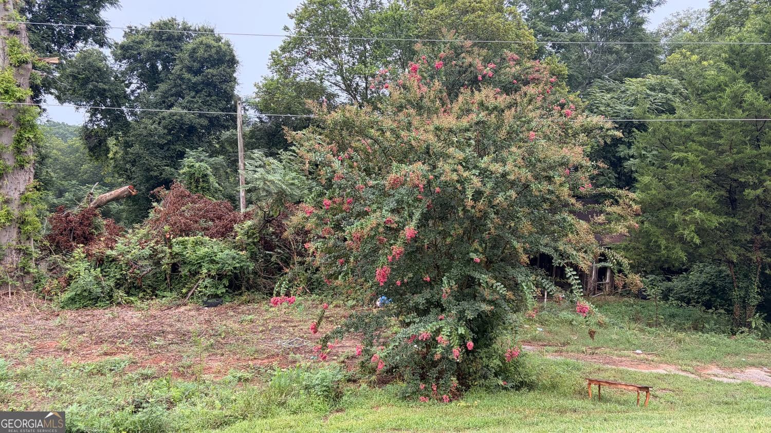 residential lot for sale at 982 S Broad Street, Commerce, GA 30529 — photo 9
