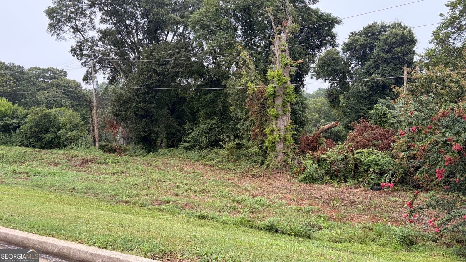 residential lot for sale at 982 S Broad Street, Commerce, GA 30529 — photo 10