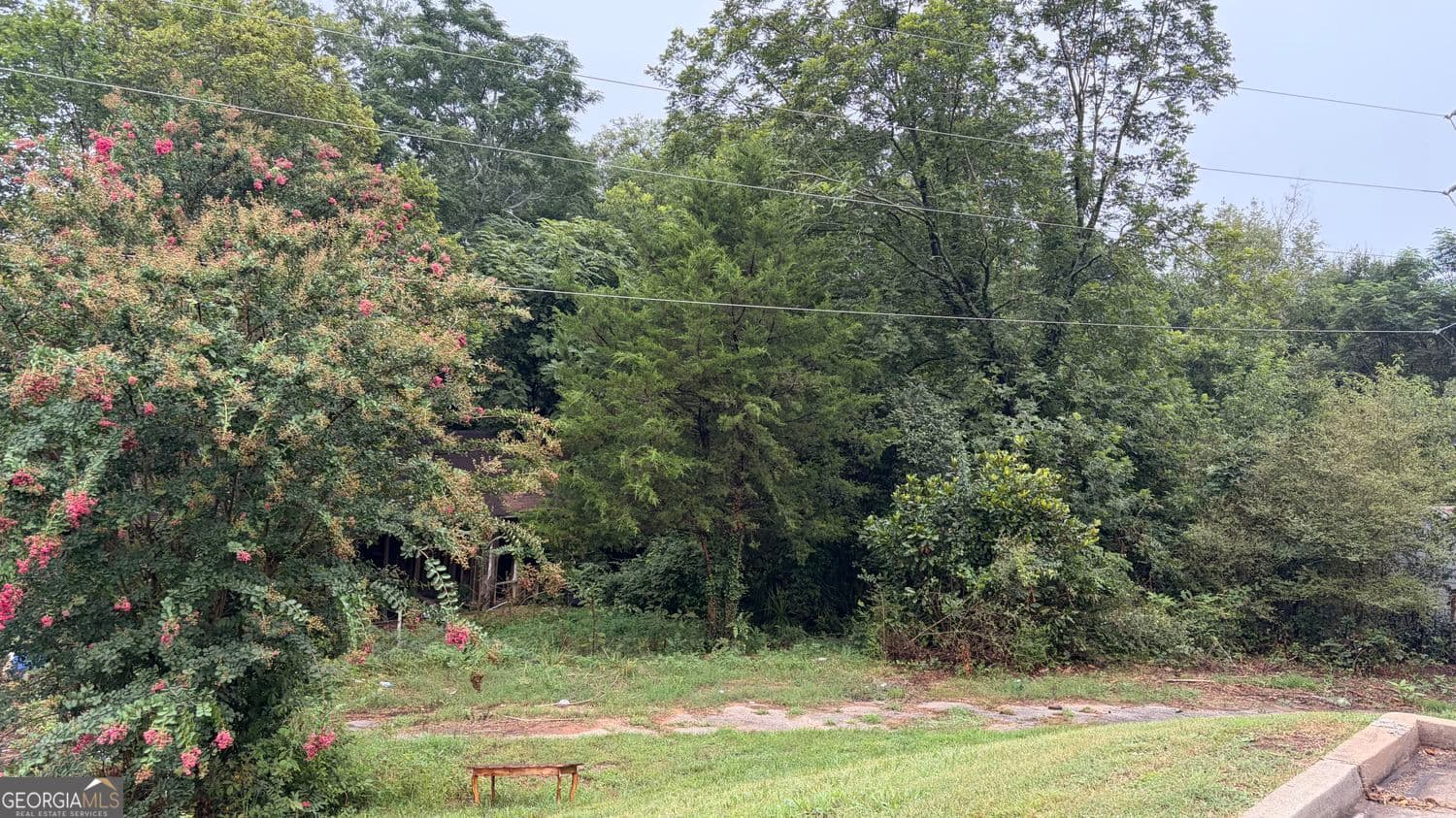 residential lot for sale at 982 S Broad Street, Commerce, GA 30529 — photo 8